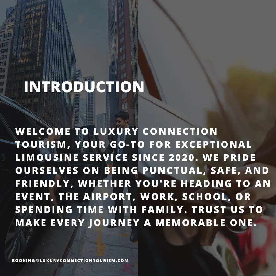 Company profile: introduction